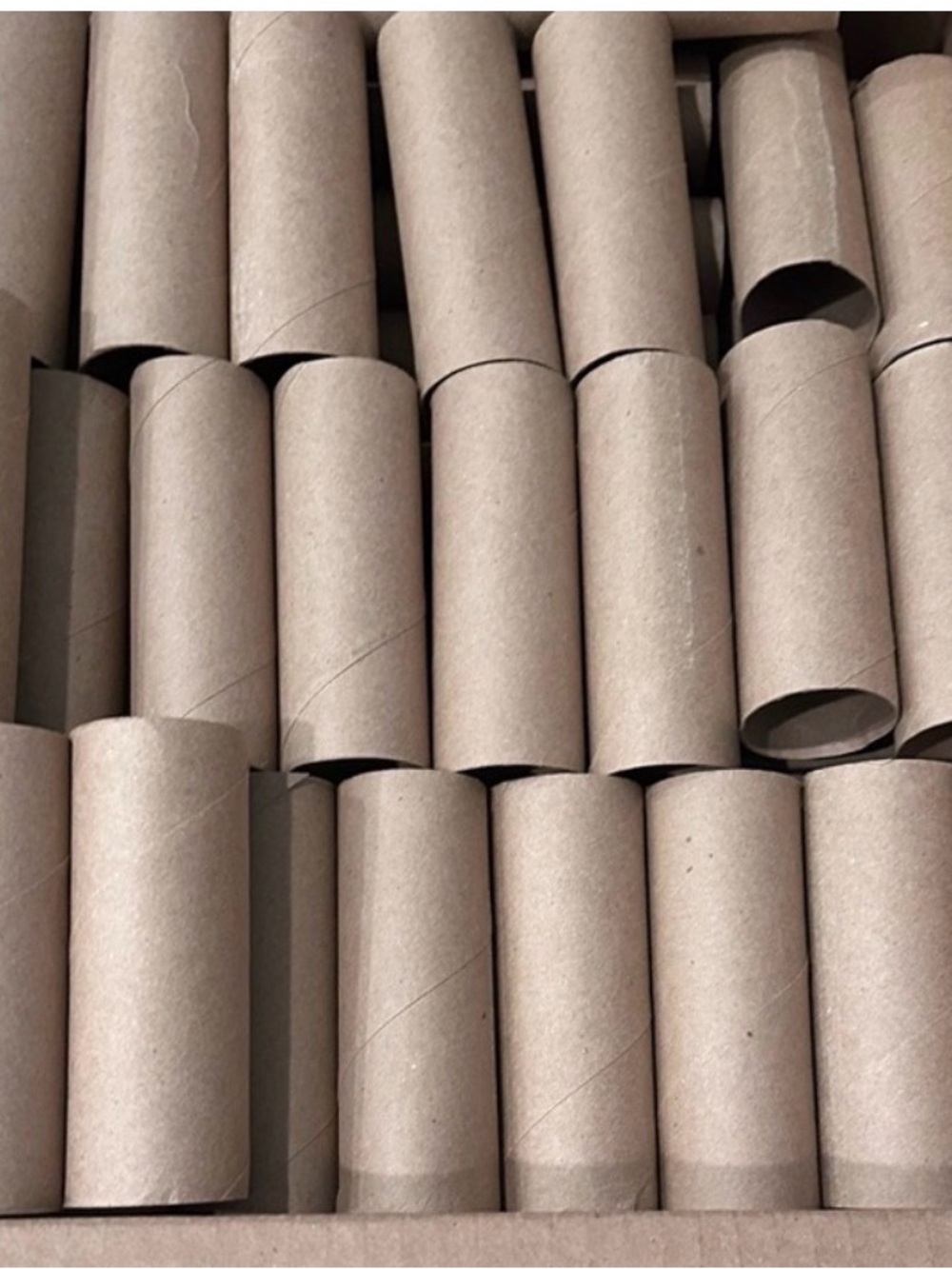 Mixed Lot Empty & Clean Toilet Paper & Paper Towel Rolls Cardboard Tubes